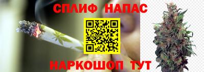 первитин Пенза