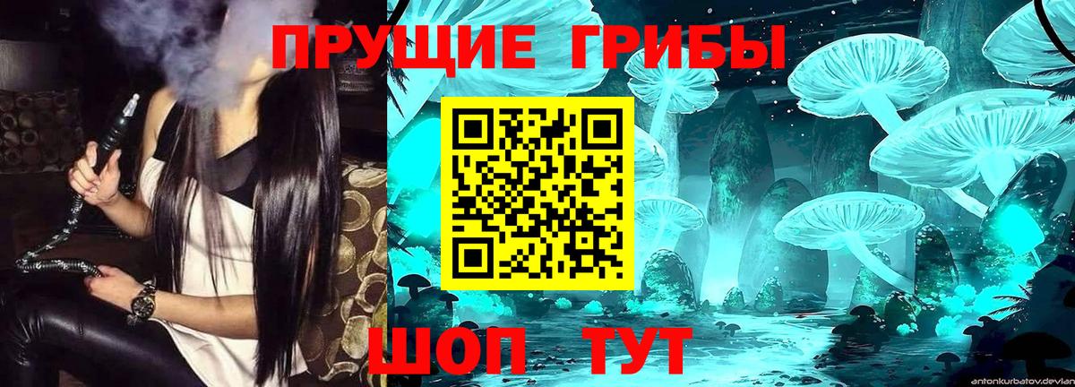Псилоцибиновые грибы мухоморы  Вход с VPN  Улан-Удэ  Псилоцибиновые грибы Magic Shrooms 